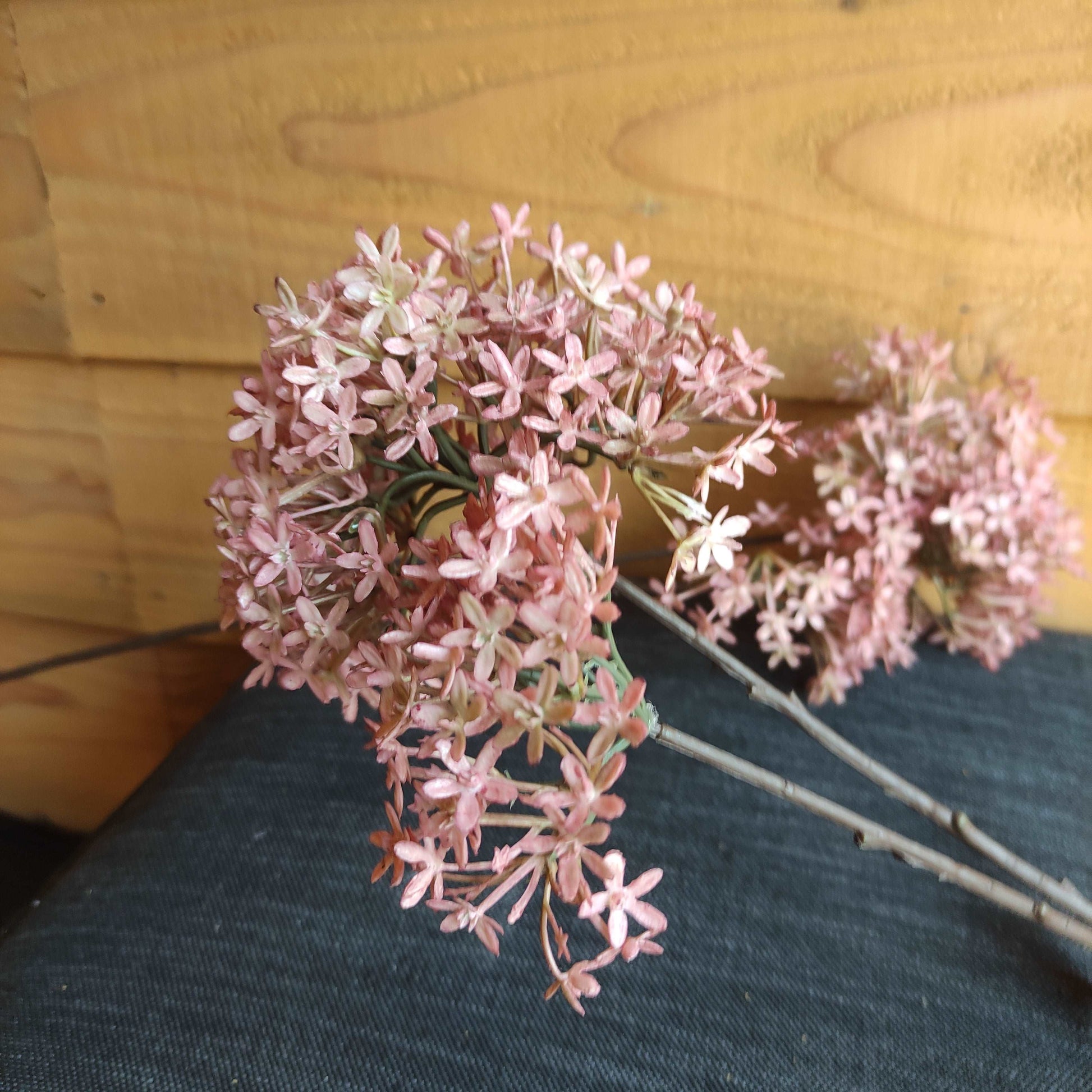 Brynxz Elderberry Flower 70 cm