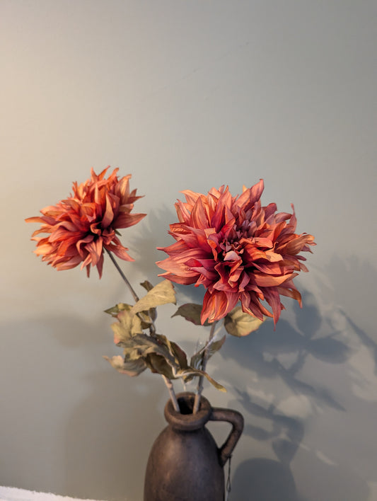 Brynxz Dahlia bloem