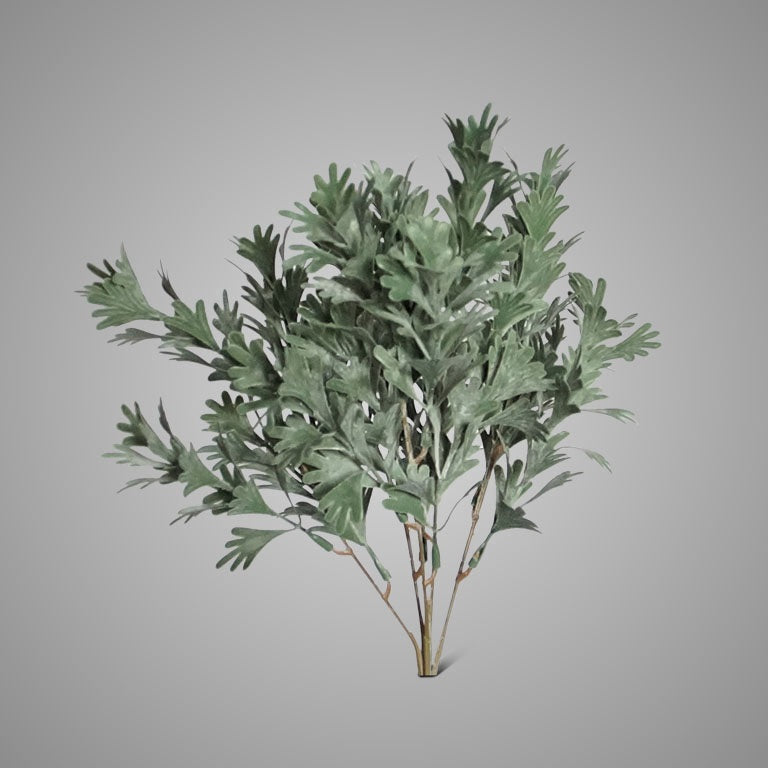 Brynxz Senecio Bush Grey 30 cm